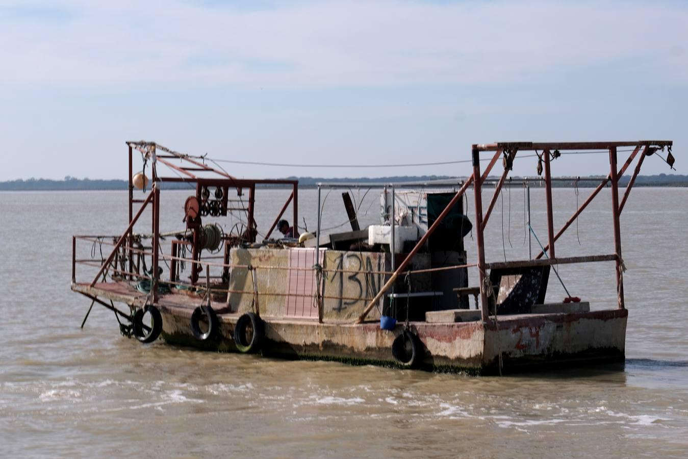 FOTOS: Golpe de la Guardia Civil a la pesca ilegal de angulas en el Guadalquivir