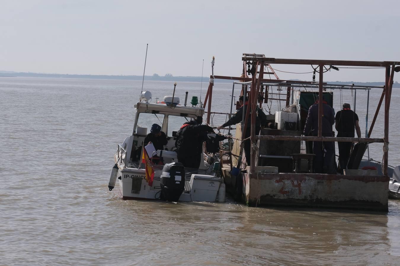 FOTOS: Golpe de la Guardia Civil a la pesca ilegal de angulas en el Guadalquivir