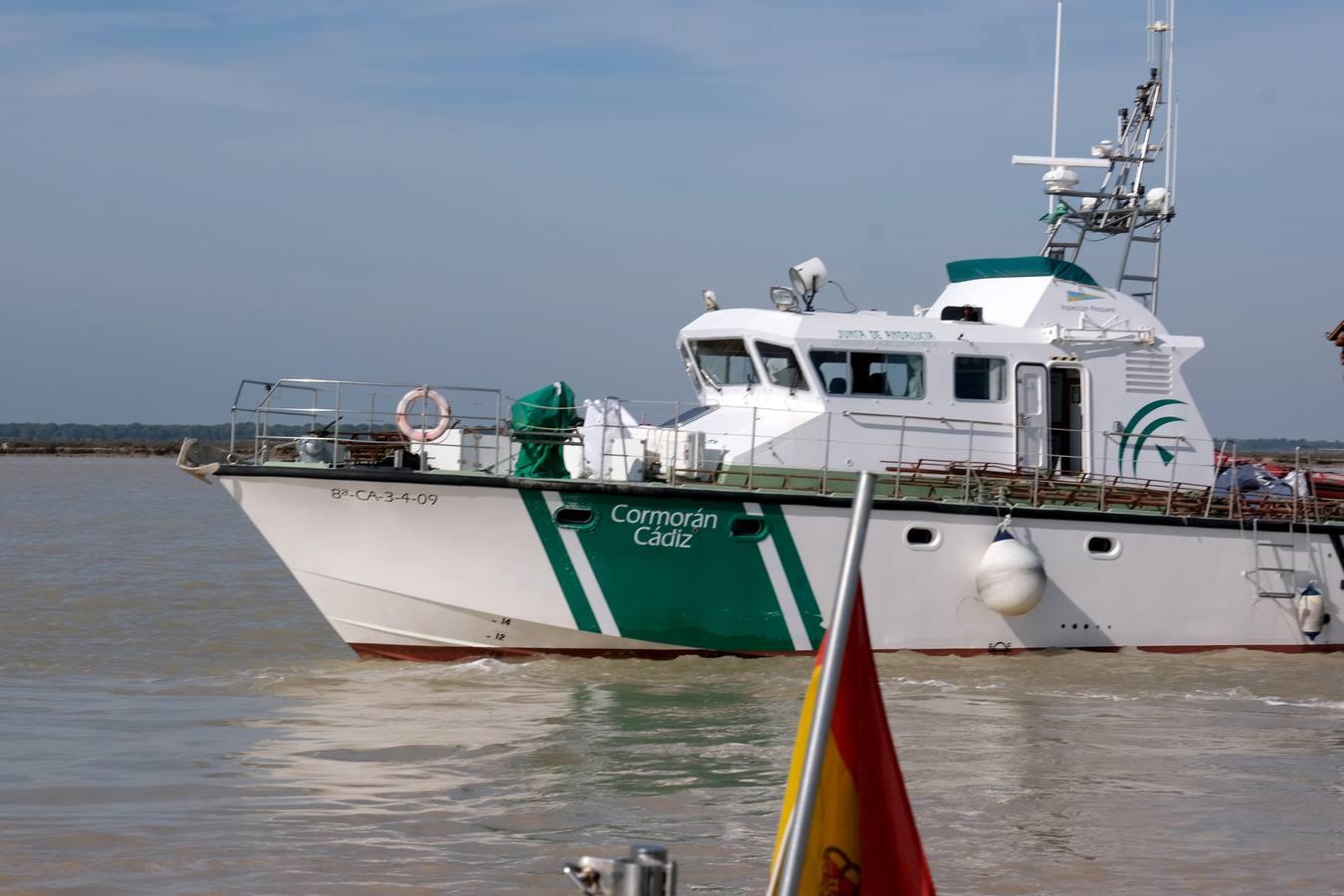 FOTOS: Golpe de la Guardia Civil a la pesca ilegal de angulas en el Guadalquivir