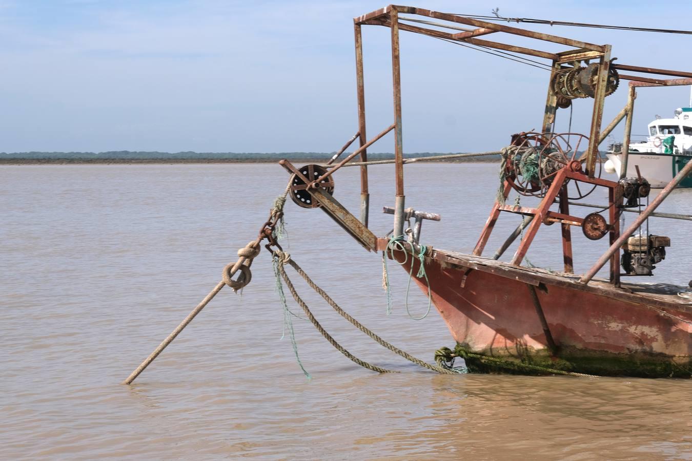 FOTOS: Golpe de la Guardia Civil a la pesca ilegal de angulas en el Guadalquivir