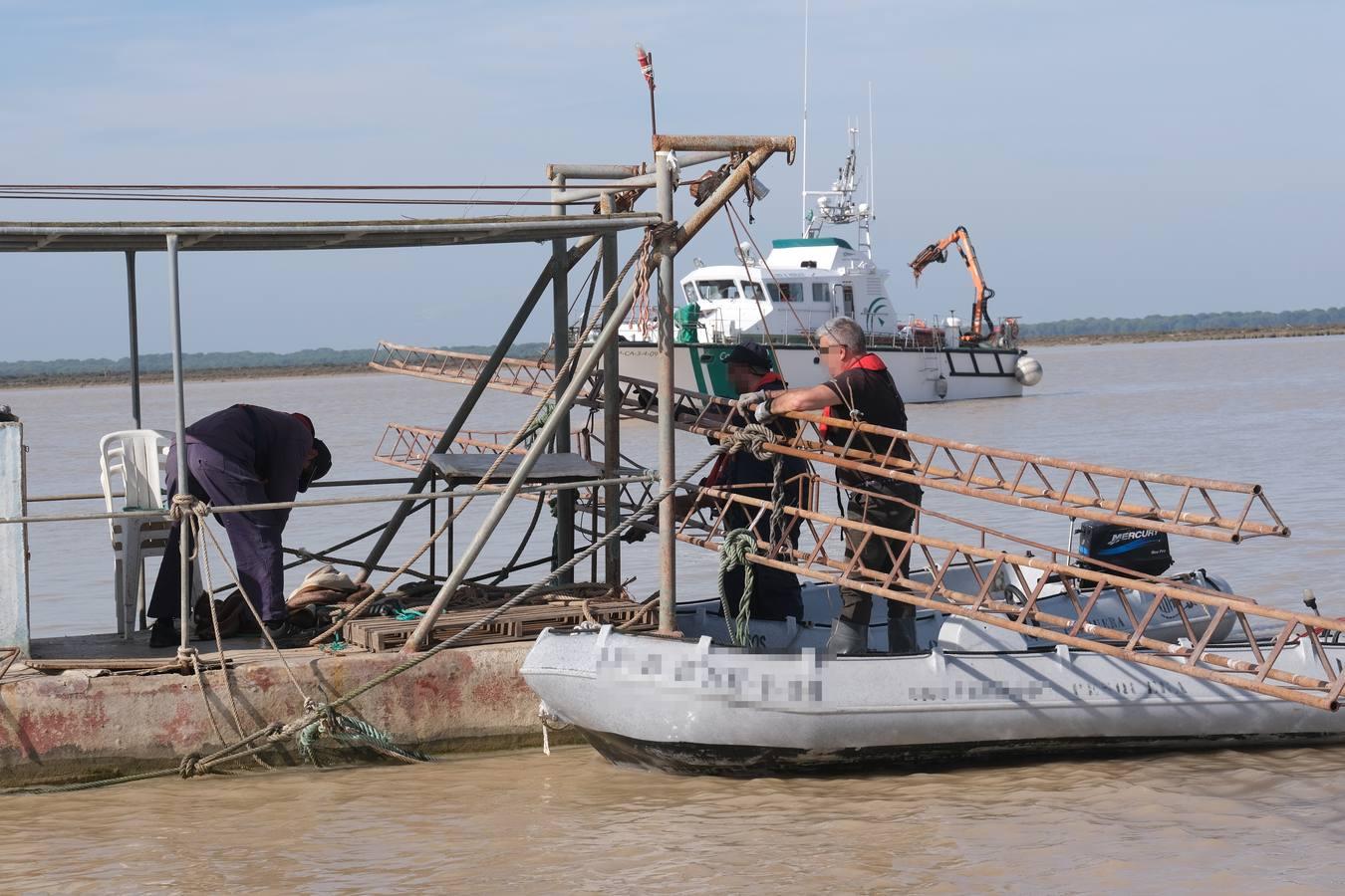 FOTOS: Golpe de la Guardia Civil a la pesca ilegal de angulas en el Guadalquivir