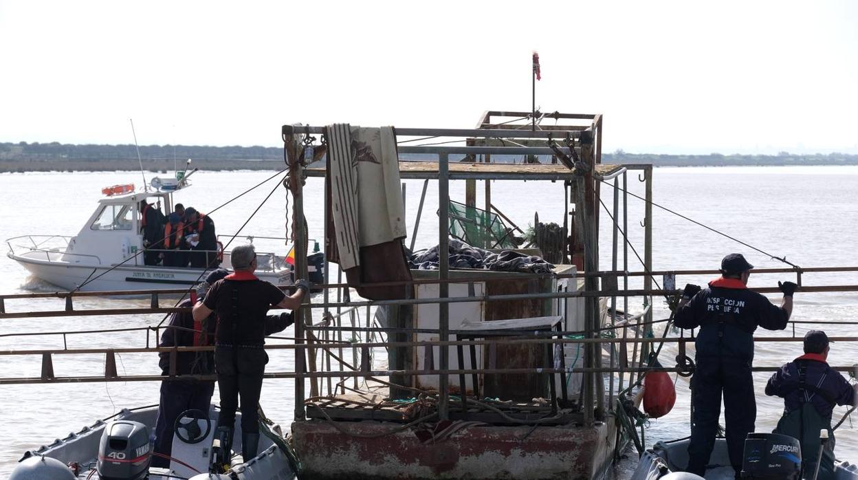 FOTOS: Golpe de la Guardia Civil a la pesca ilegal de angulas en el Guadalquivir