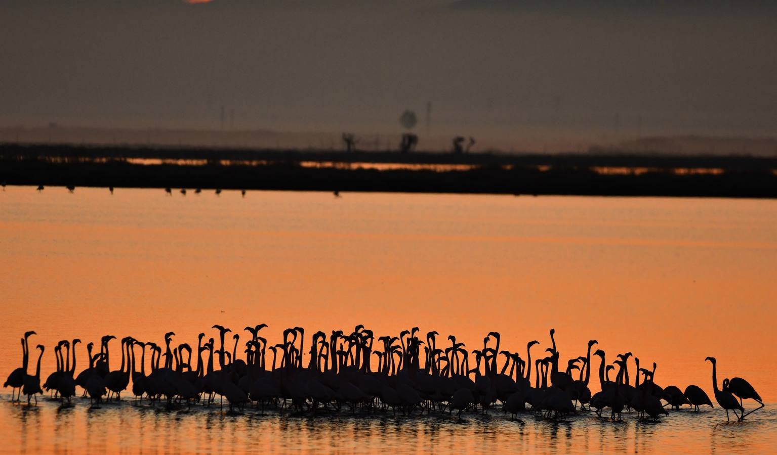 Impresionantes imágenes del corazón de Doñana