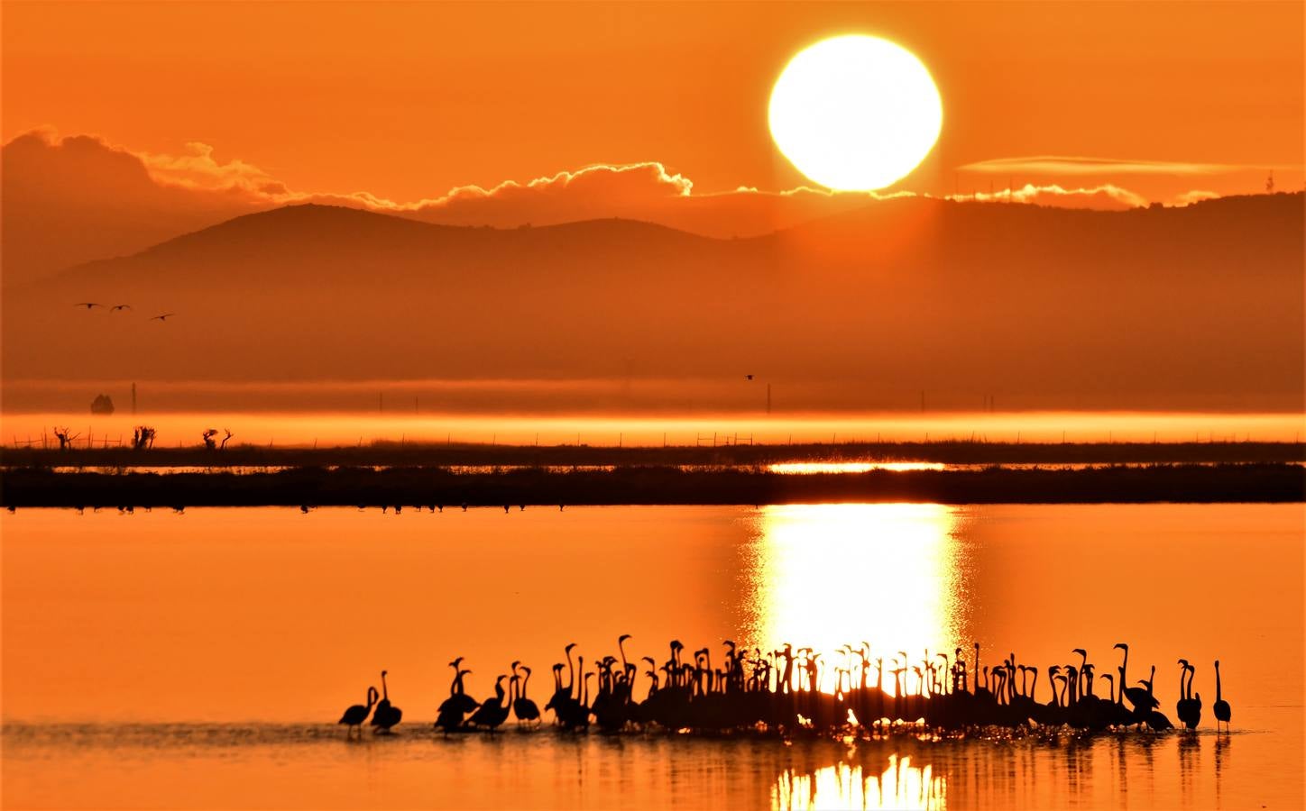 Impresionantes imágenes del corazón de Doñana