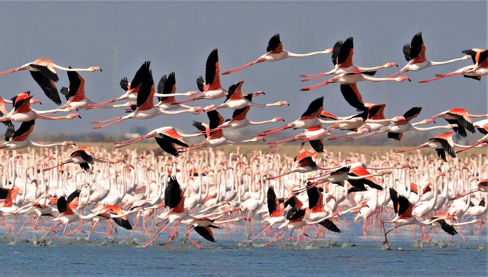 Impresionantes imágenes del corazón de Doñana