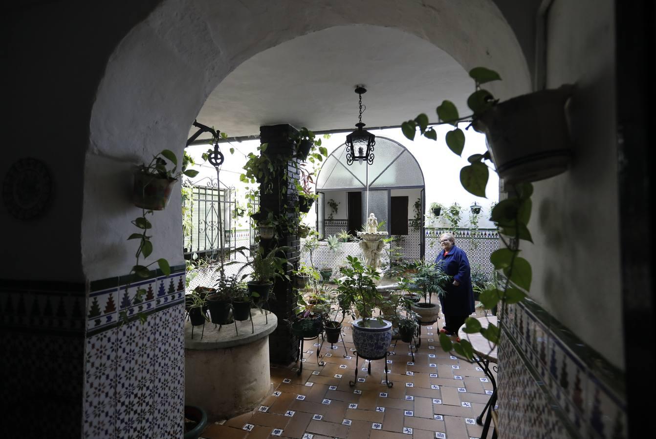 La calle Romero de Torres en Córdoba, en imágenes