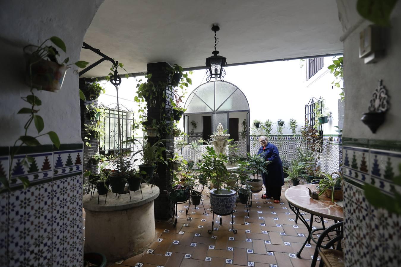 La calle Romero de Torres en Córdoba, en imágenes