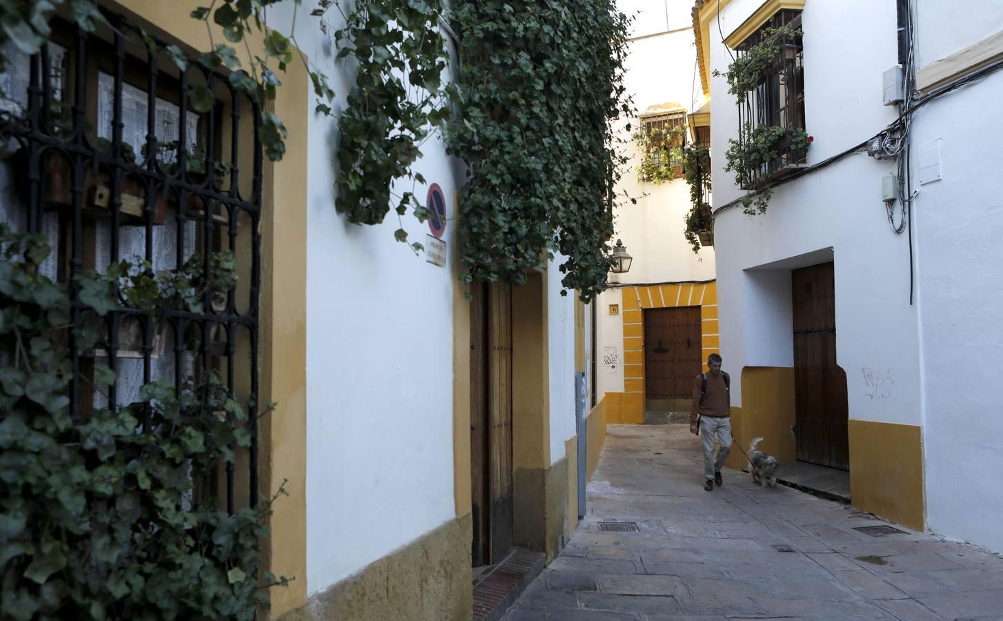 La calle Romero de Torres en Córdoba, en imágenes