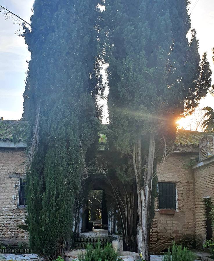 En imágenes, la Huerta de la Noria, la finca de Joaquín Romero Murube al detalle