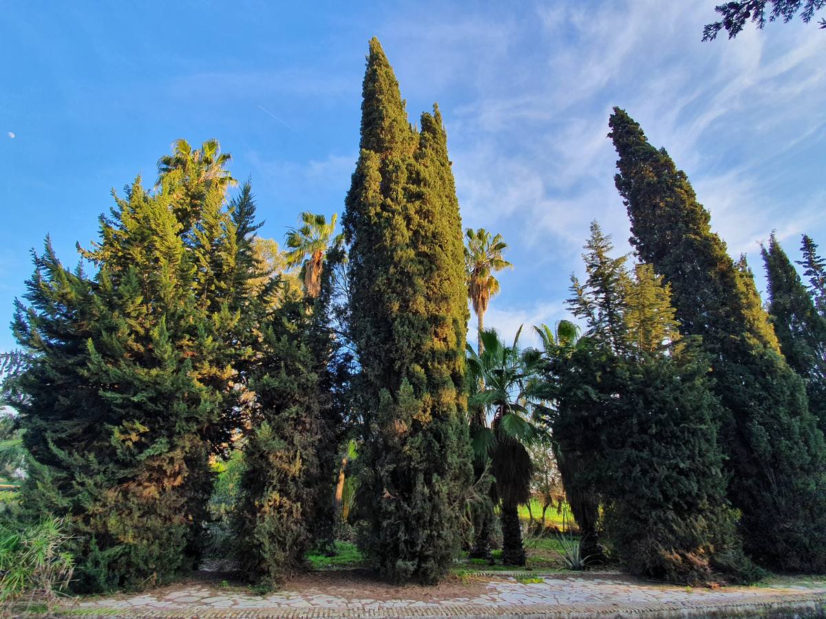 En imágenes, la Huerta de la Noria, la finca de Joaquín Romero Murube al detalle