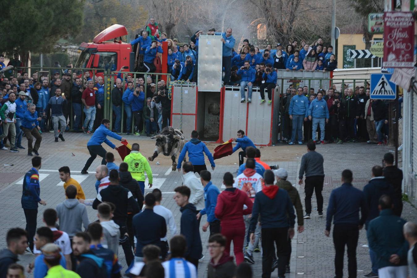 El toro enmaromado de San Blas