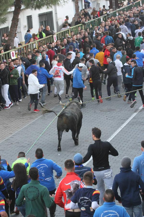 El toro enmaromado de San Blas