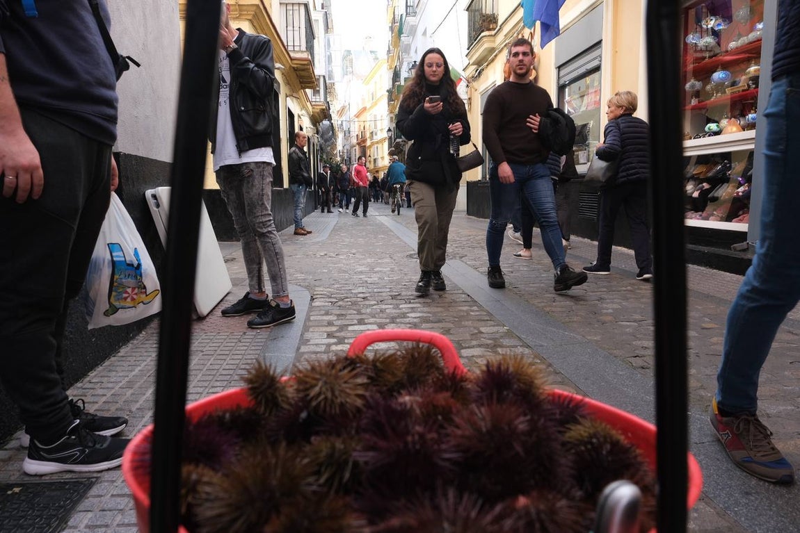 Gran ambiente en La Viña ante la celebración de la Erizada