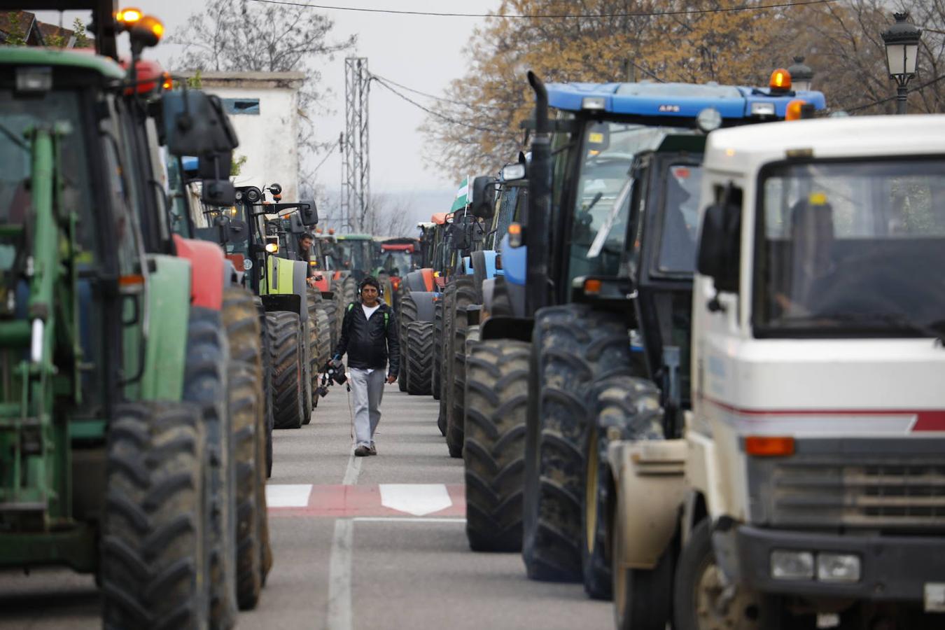 La protesta de los agricultores de Córdoba en Adamuz, en imágenes