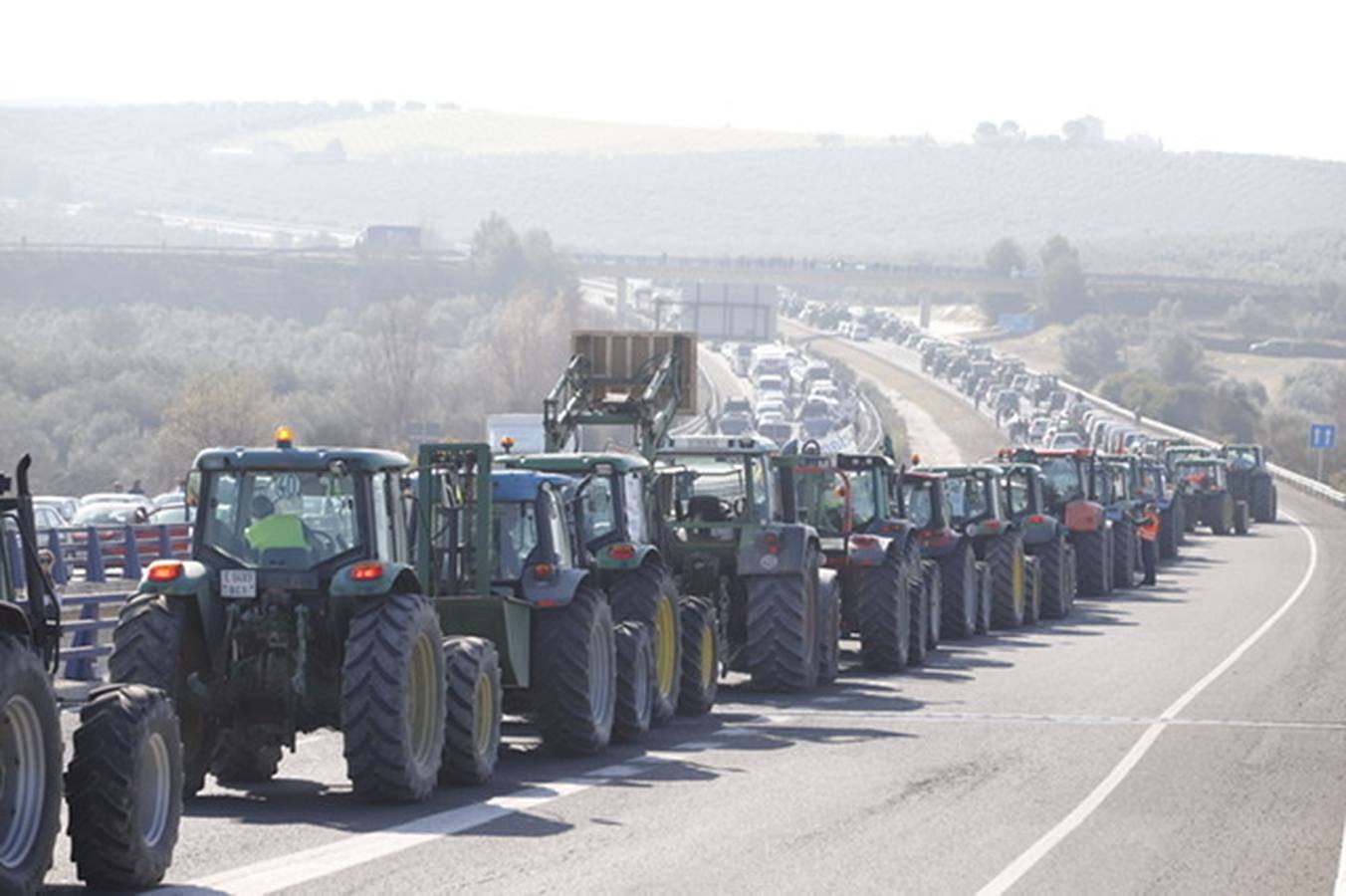 La marcha de agricultores y ganaderos en Lucena, en imágenes (I)