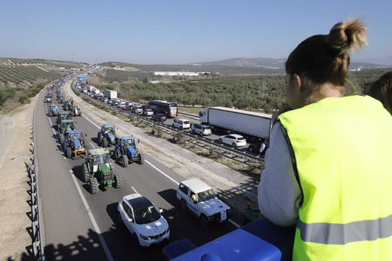 La marcha de agricultores y ganaderos en Lucena, en imágenes (I)