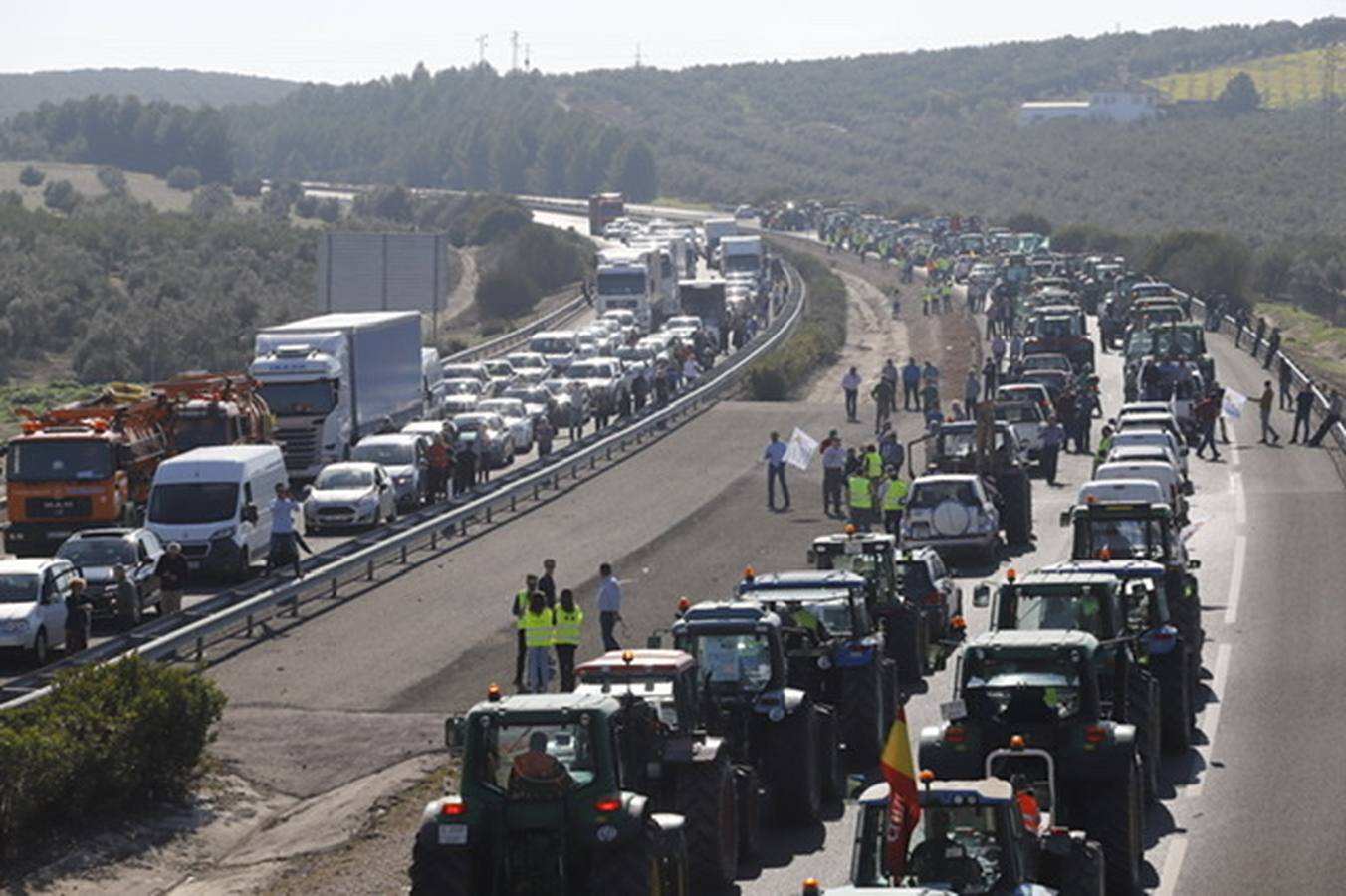 La marcha de agricultores y ganaderos en Lucena, en imágenes (I)