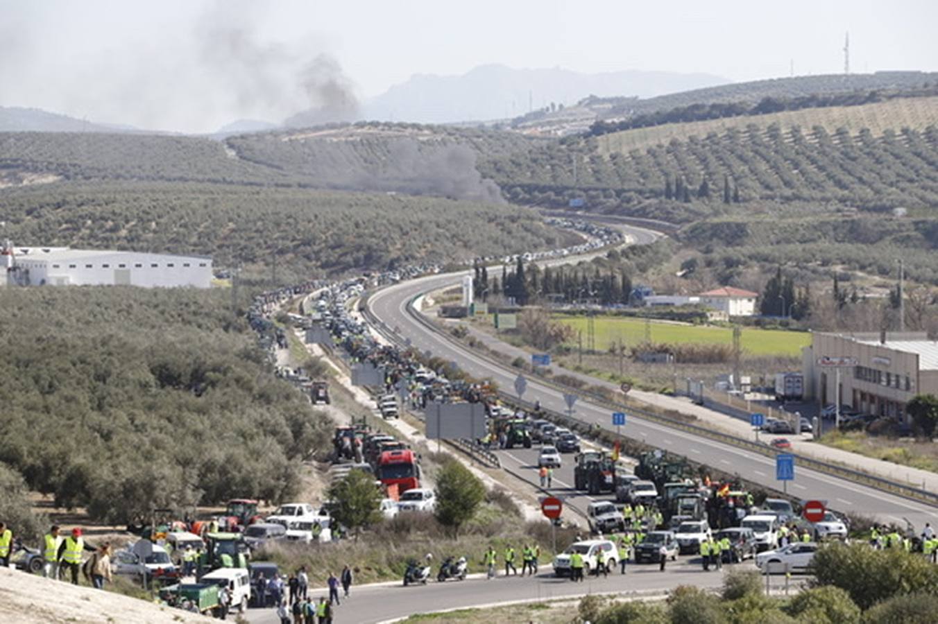 La marcha de agricultores y ganaderos en Lucena, en imágenes (II)