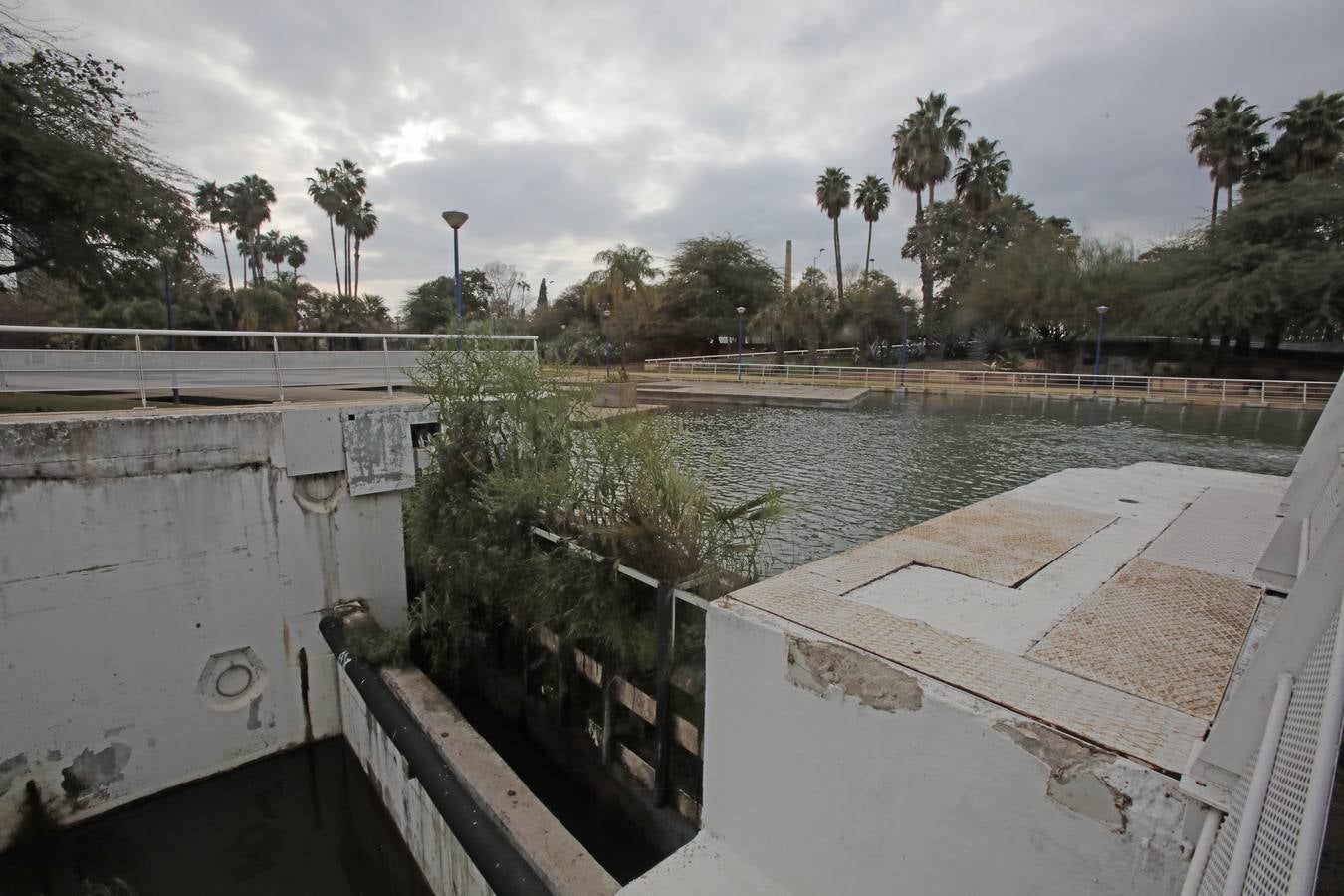 La desidia en la Isla de la Cartuja de Sevilla, en imágenes