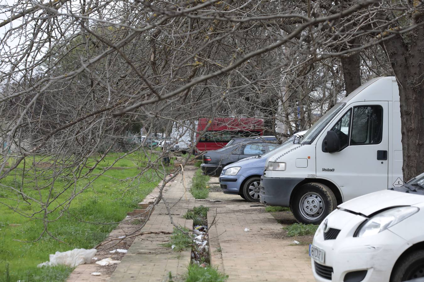 La desidia en la Isla de la Cartuja de Sevilla, en imágenes