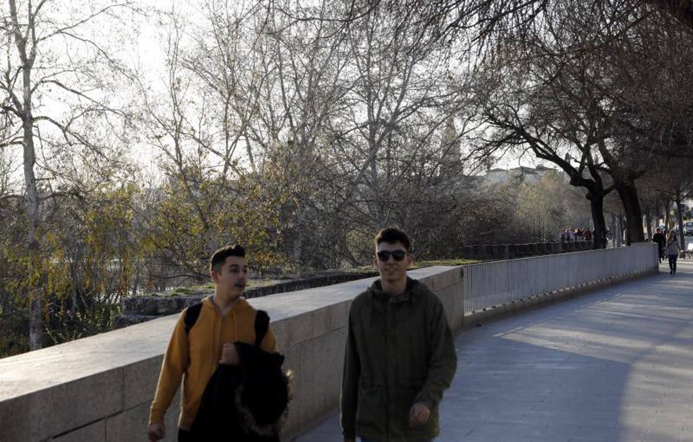 La calle Ronquillo Briceño de Córdoba, en imágenes