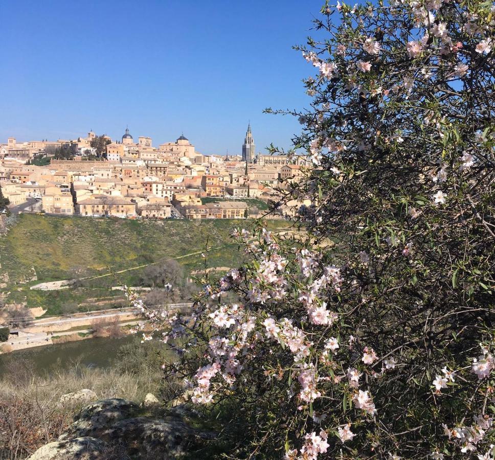 En imágenes: los almendros en flor del Valle de Toledo