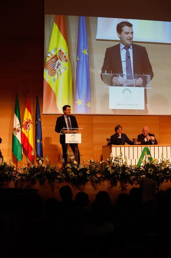 El acto de entrega de banderas de Andalucía en Córdoba, en imágenes