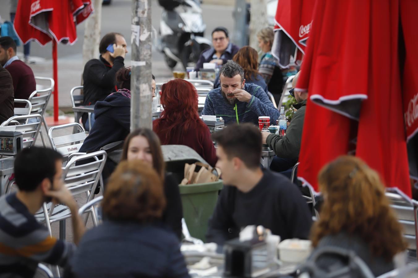 El arranque de la temporada de caracoles en Córdoba, en imágenes