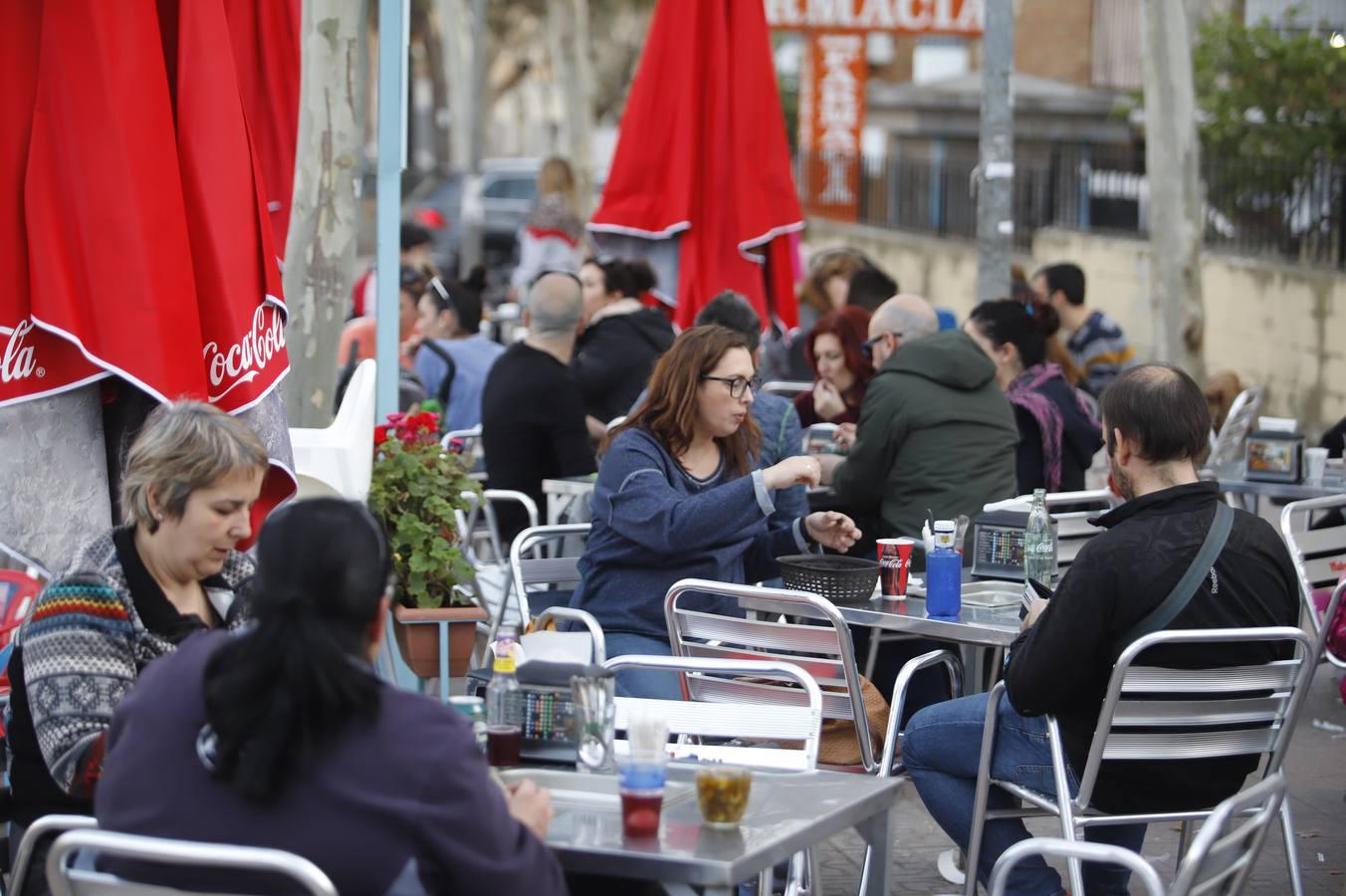 El arranque de la temporada de caracoles en Córdoba, en imágenes