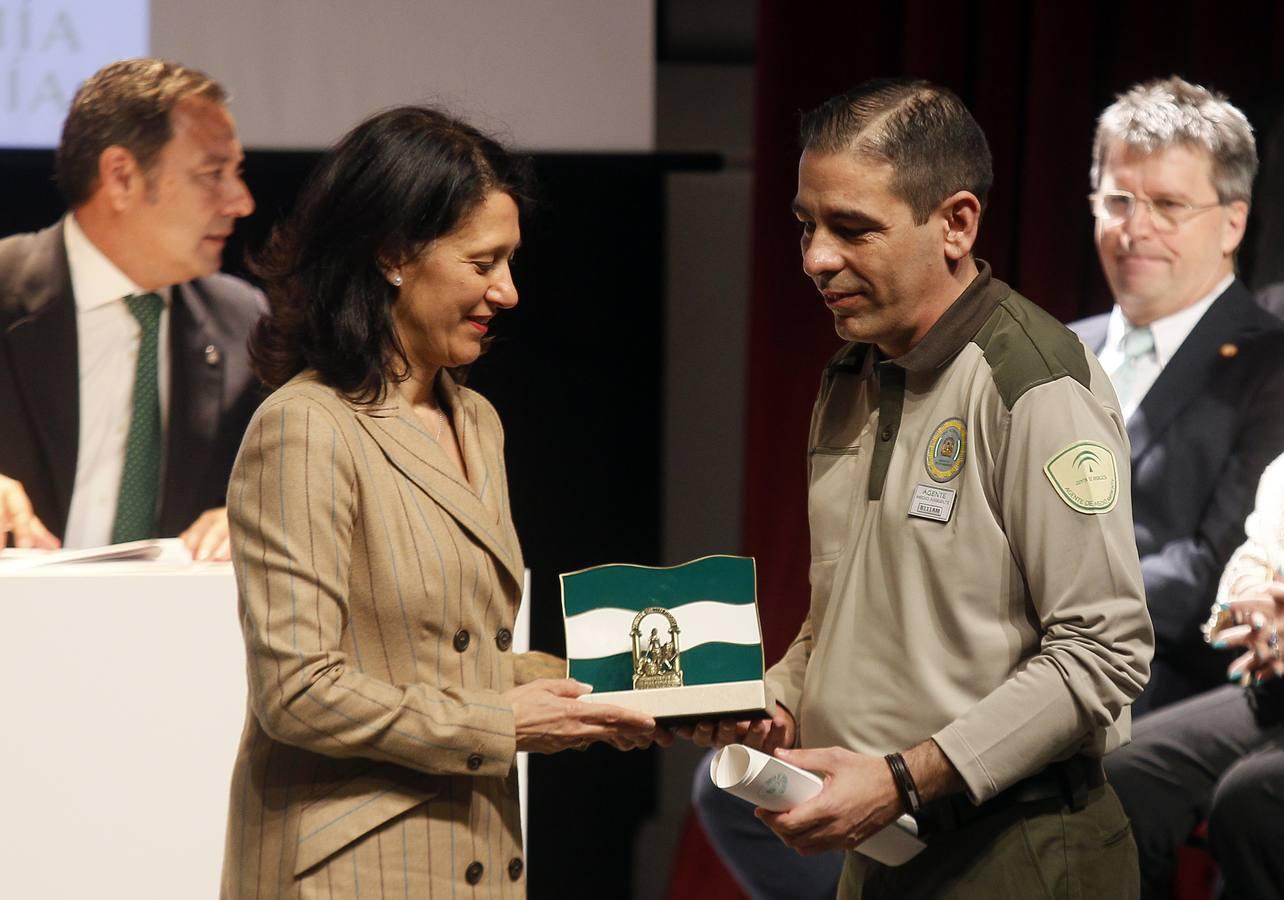 Entrega de «Banderas de Andalucía» de la provincia de Sevilla