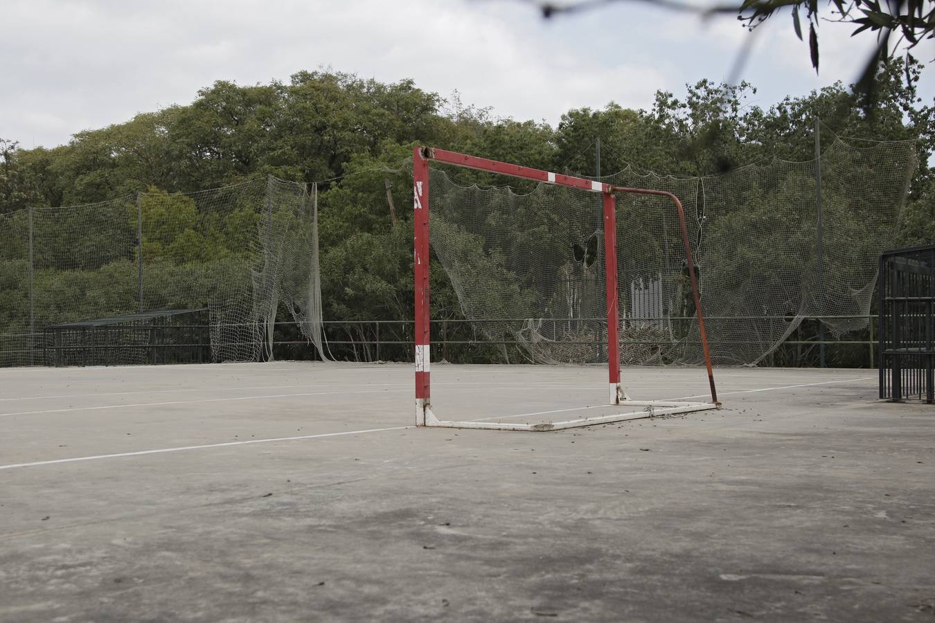 Centro deportivo  Parque Amate