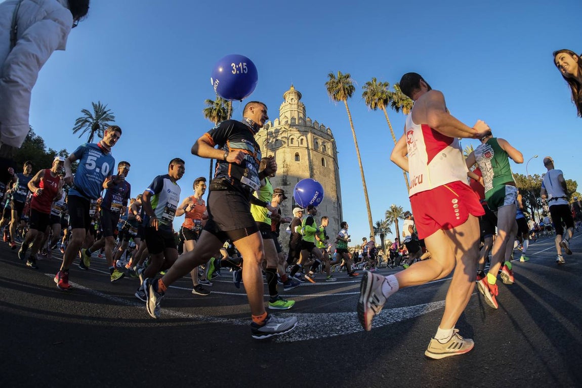 ¿Has corrido el Zurich Maratón Sevilla 2020? ¡Búscate! (VII)