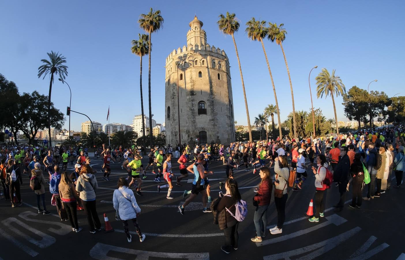 ¿Has corrido el Zurich Maratón Sevilla 2020? ¡Búscate! (IX)