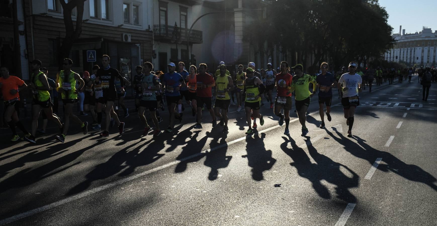 ¿Has corrido el Zurich Maratón Sevilla 2020? ¡Búscate! (IX)