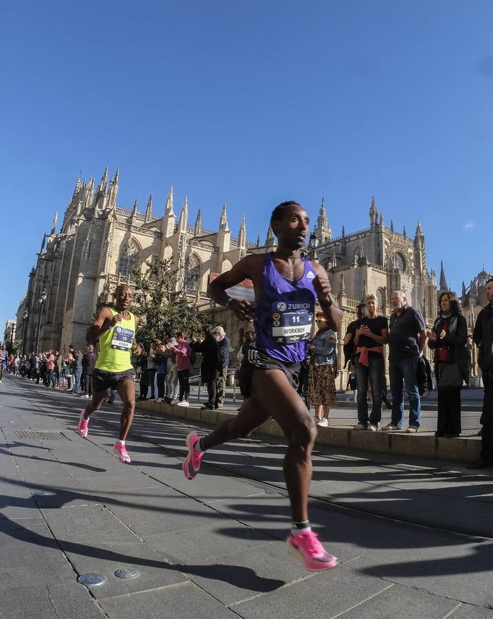 ¿Has corrido el Zurich Maratón Sevilla 2020? ¡Búscate! (IX)