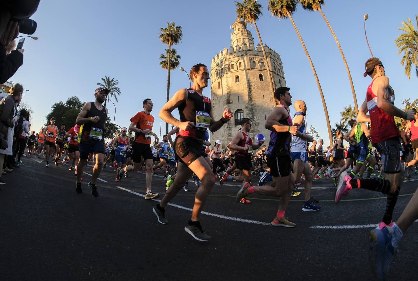 ¿Has corrido el Zurich Maratón Sevilla 2020? ¡Búscate! (VII)