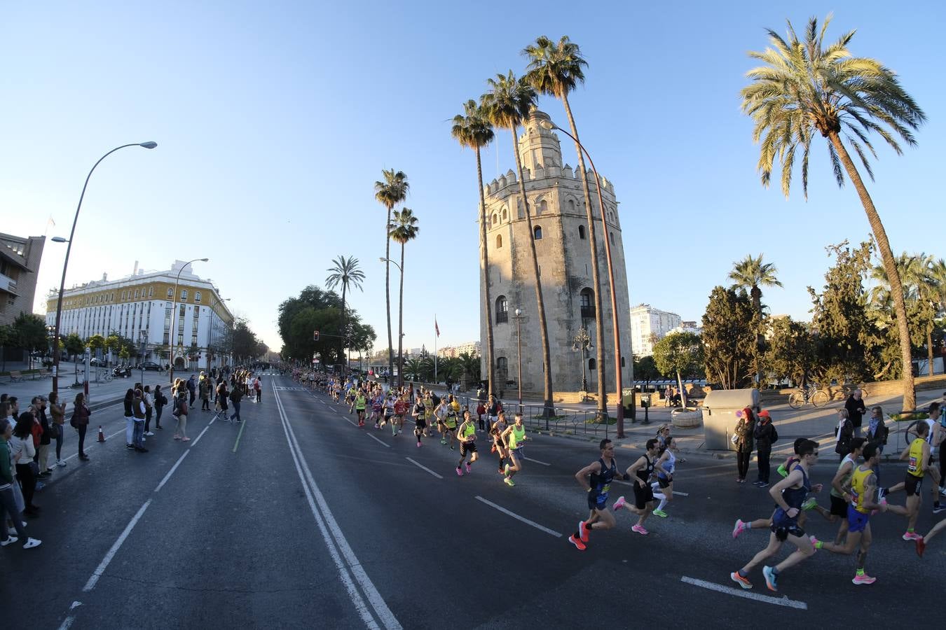 ¿Has corrido el Zurich Maratón Sevilla 2020? ¡Búscate! (VII)