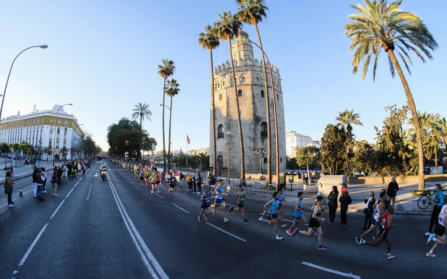 ¿Has corrido el Zurich Maratón Sevilla 2020? ¡Búscate! (VII)