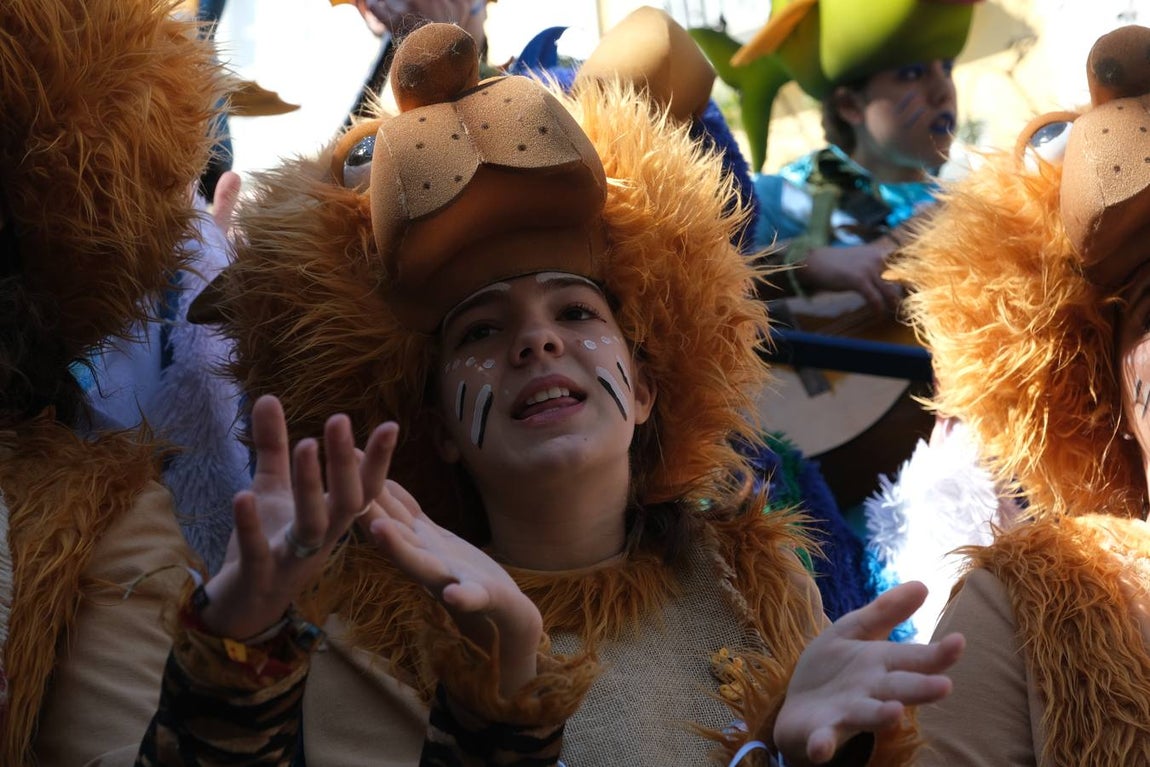 FOTOS: Lleno en Cádiz el Domingo de coros de Carnaval