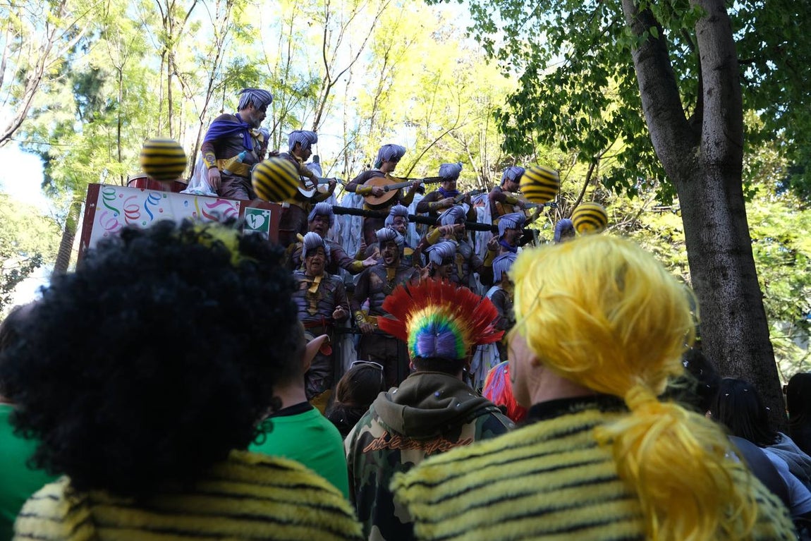 FOTOS: Lleno en Cádiz el Domingo de coros de Carnaval