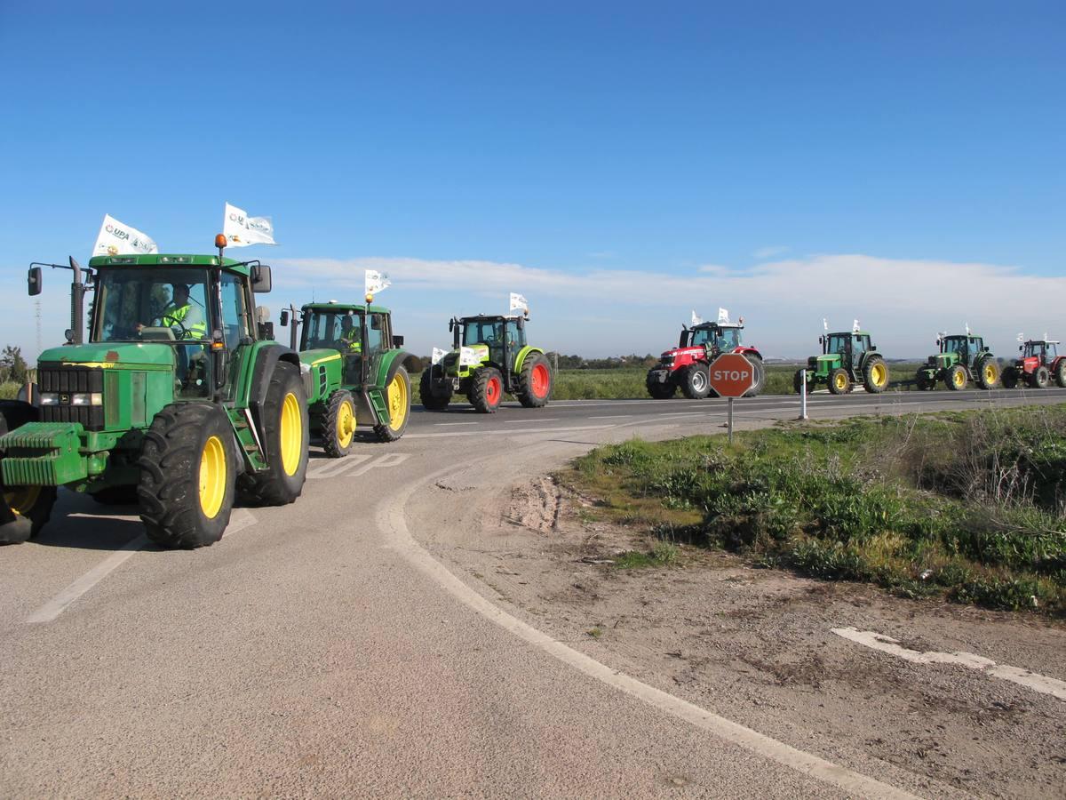 Fotogalería: los tractores, en la autopista de Sevilla-Cádiz, AP-4