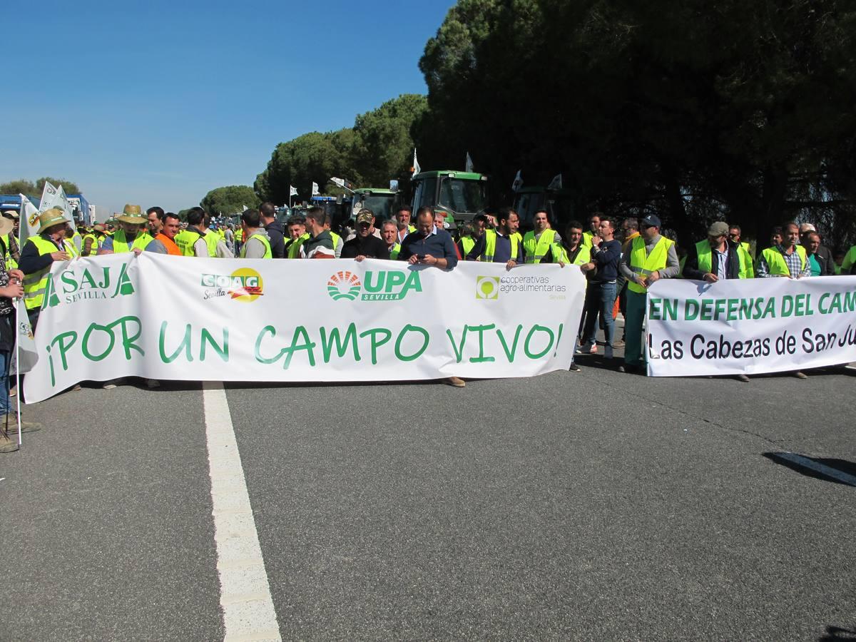 Fotogalería: los tractores, en la autopista de Sevilla-Cádiz, AP-4