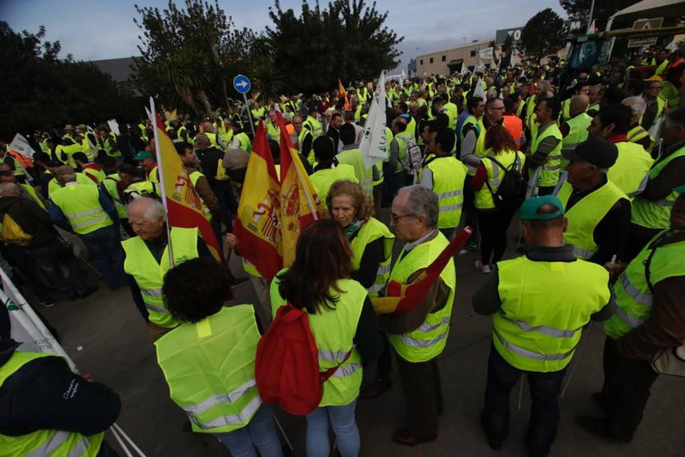 En imágenes, la tractorada de agricultores en la autovía A-4