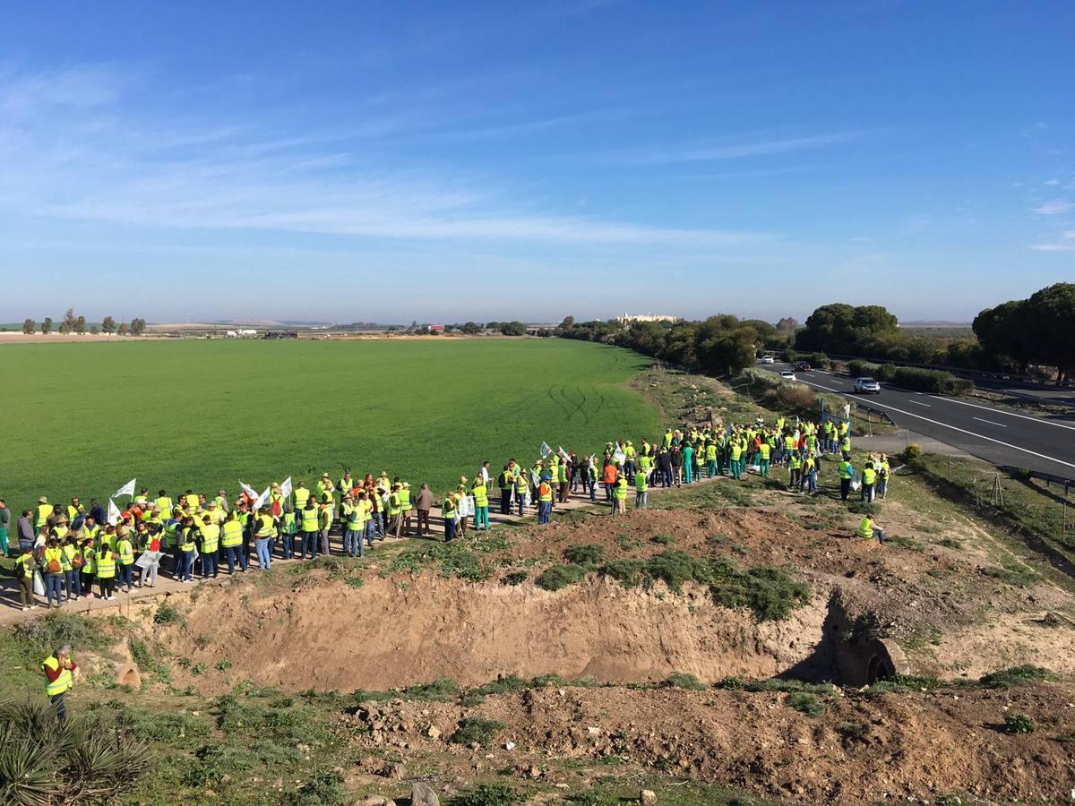 Fotogalería: los tractores, en la autopista de Sevilla-Cádiz, AP-4