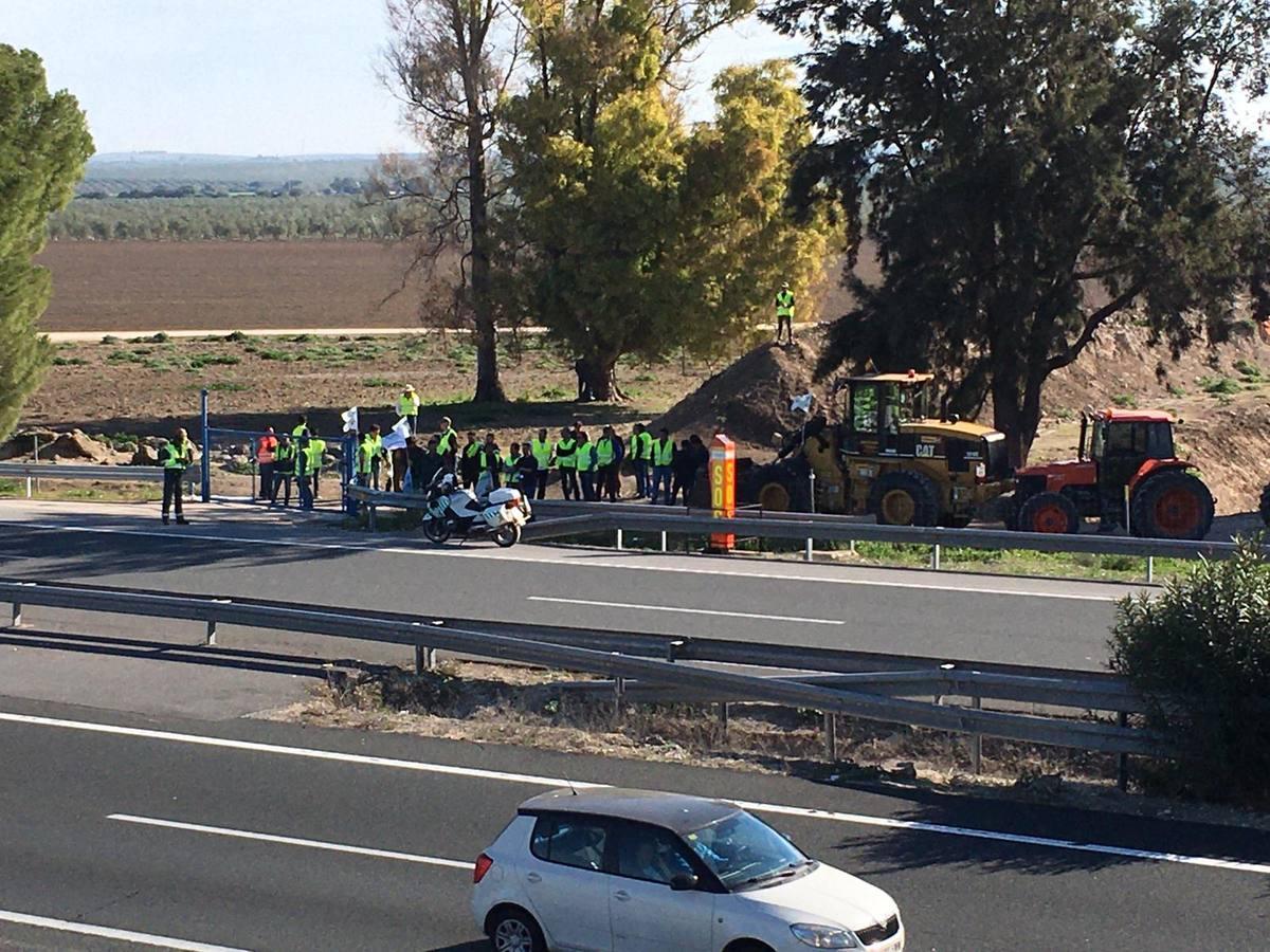 Fotogalería: los tractores, en la autopista de Sevilla-Cádiz, AP-4