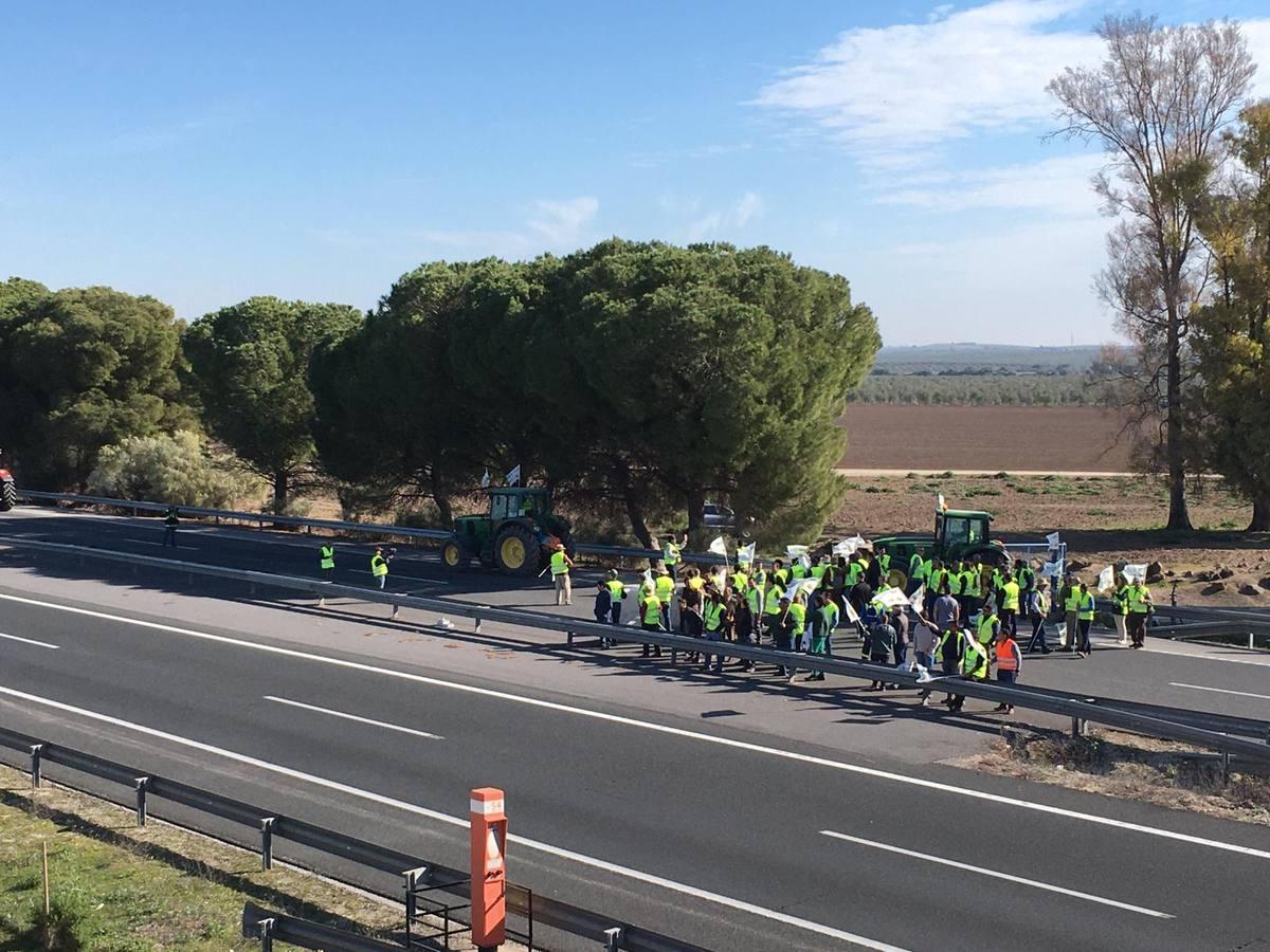 Fotogalería: los tractores, en la autopista de Sevilla-Cádiz, AP-4