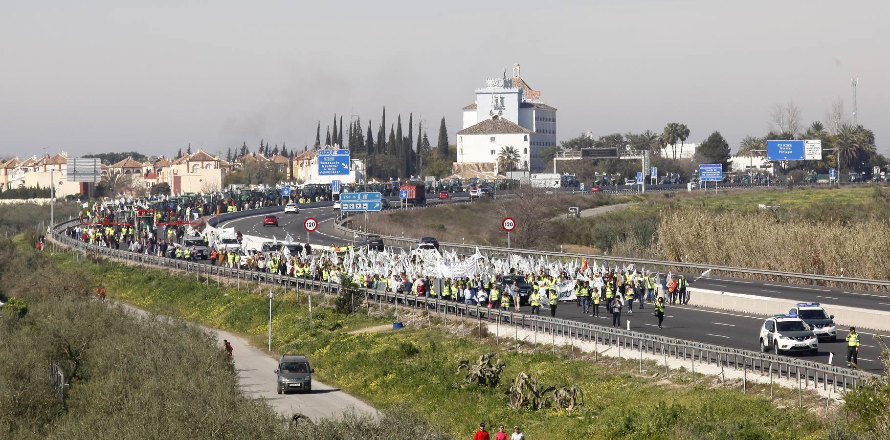 La tractorada corta la autovía que une Sevilla y Huelva, la A-49, en imágenes