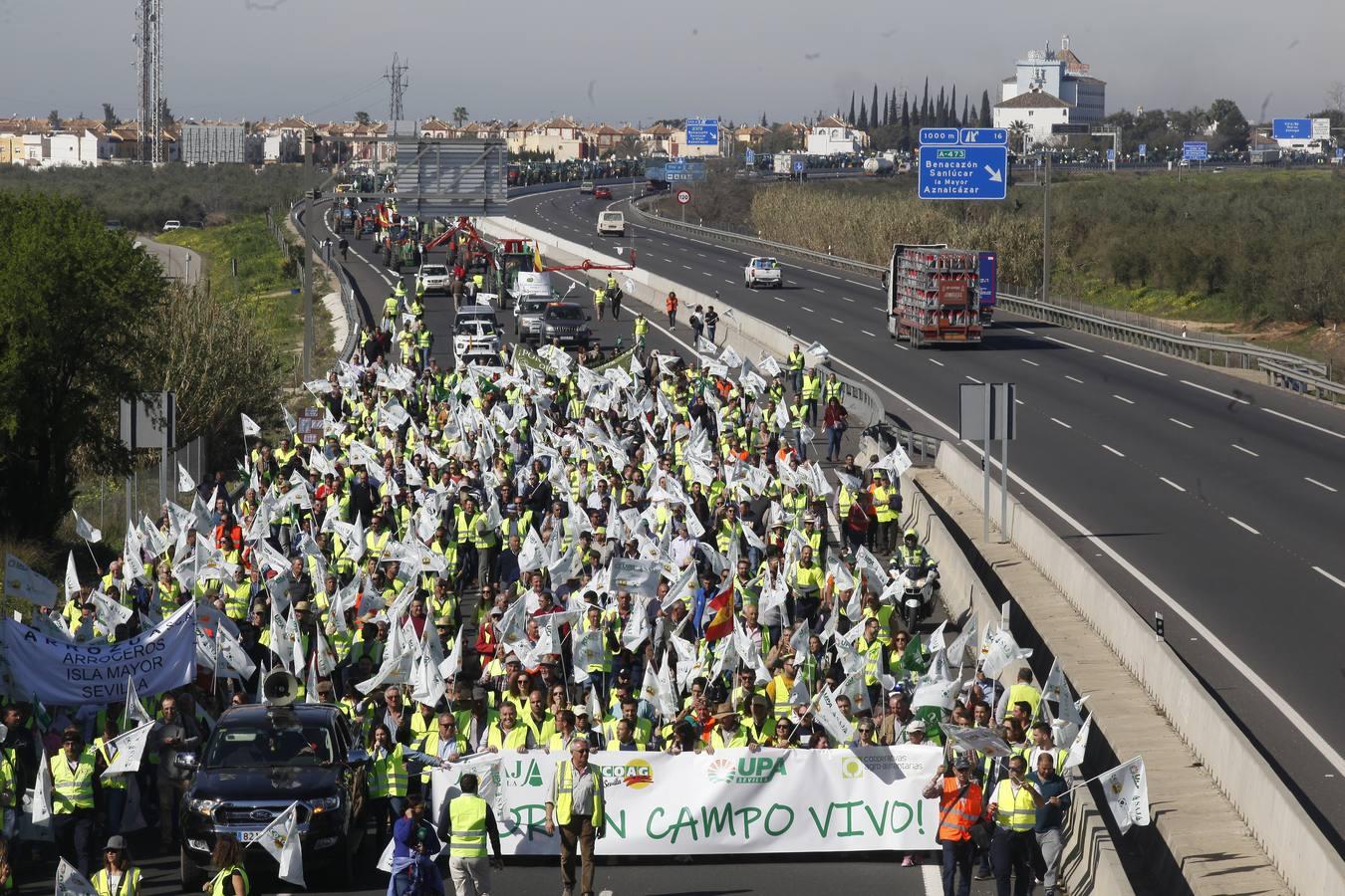 La tractorada corta la autovía que une Sevilla y Huelva, la A-49, en imágenes