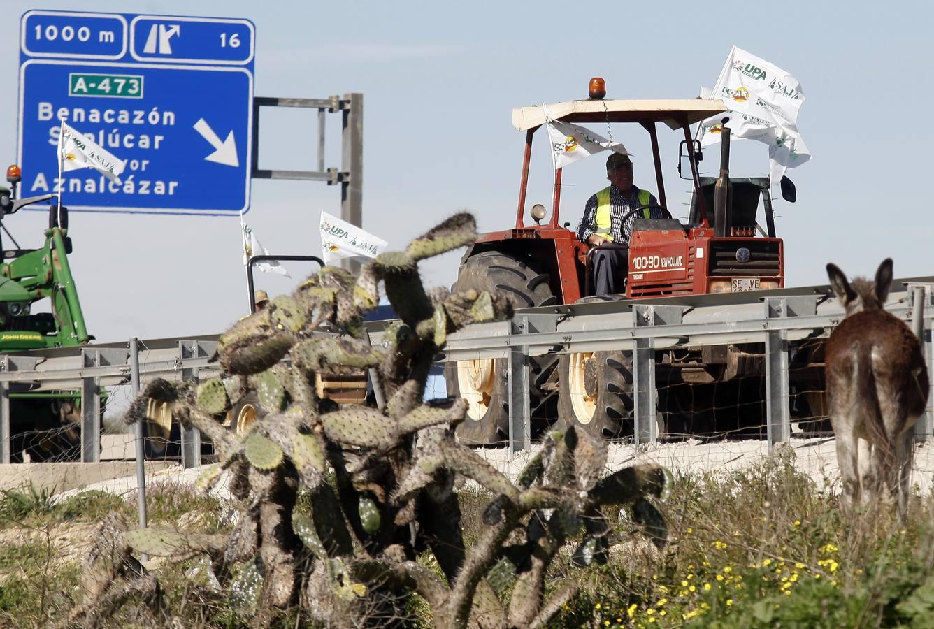 La tractorada corta la autovía que une Sevilla y Huelva, la A-49, en imágenes