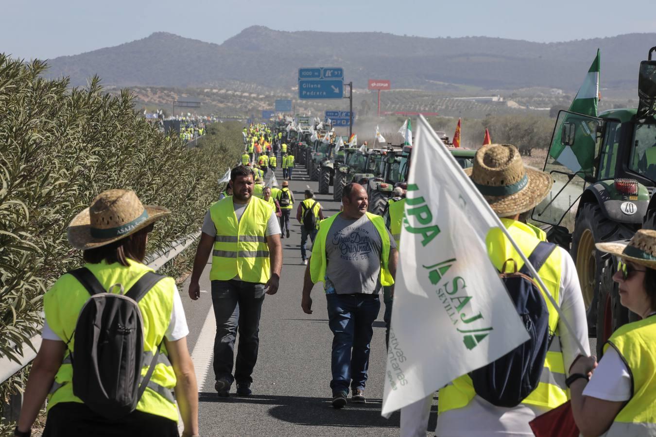 Las imágenes del corte de la autovía A-92 por las tractoradas en Sevilla